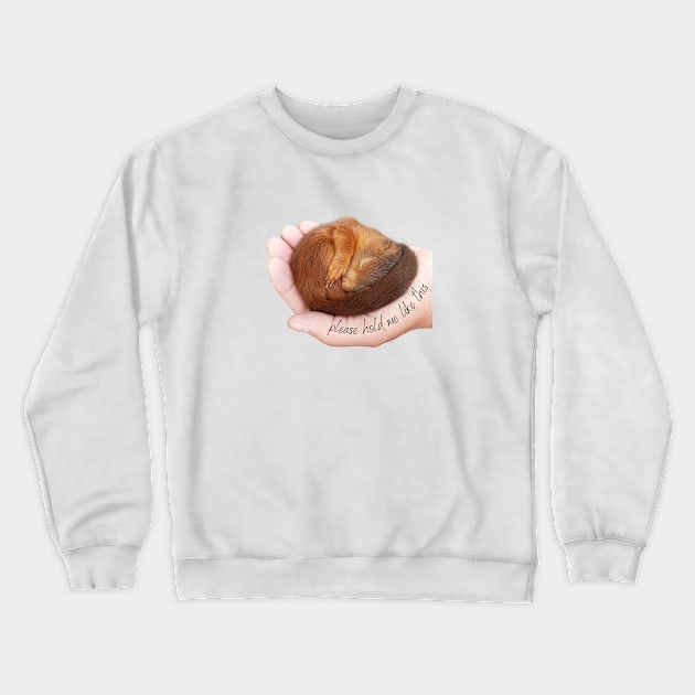 Please hold me like a cute sleeping baby squirrel Crewneck Sweatshirt by Bailamor